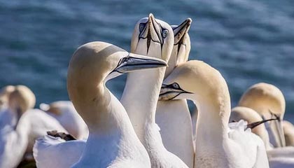 开云体育app官网-开云体育官网：开启体育热潮的全新体验